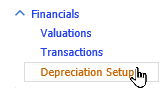 Depreciation Setup link in the Financials navigation panel